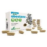 Soria Natural 8-C Obestane , 30 капсул