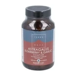 Terranova Комплекс астрагалу, бузини та часнику (захист) 100В капсули