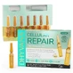 Dhyvana Cellular Repair (інтенсивне нічне відновлення) 7Amp