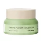 Mizon Phyto Plump Collagen Night Cream, 50 мл