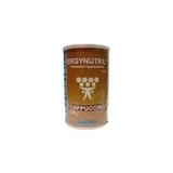Nutergia Ergynutril Cappuccino, 300 г