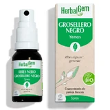 Herbalgem Чорна смородина, 15мл