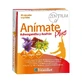 Ynsadiet Animate Plus. Стрес, настрій та енергія, 30 капсул