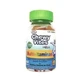 Chewy Vites Kids Multivitamins Plus 60Ud