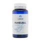 Labmar Paneural 50% Dha, 90 капсул