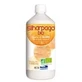 Labo Sante Silice Silharpago Bio 1Litre