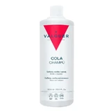 Шампунь Valquer Swag Effect Cola, 1 л