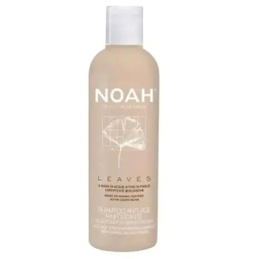 Noah Leaves Ginkgo Strengthening Shampoo 250Ml: цены и характеристики