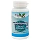 Vbyotics Probiotix (8 штаммов) 60V капсул