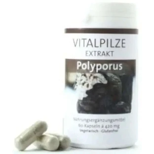 Pilze Wolhrab Polyporus 60 капсул