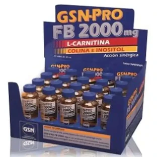 Gsn Gsn-Pro Fb-2000Mg 20 флаконів (карнітин) 30 мл