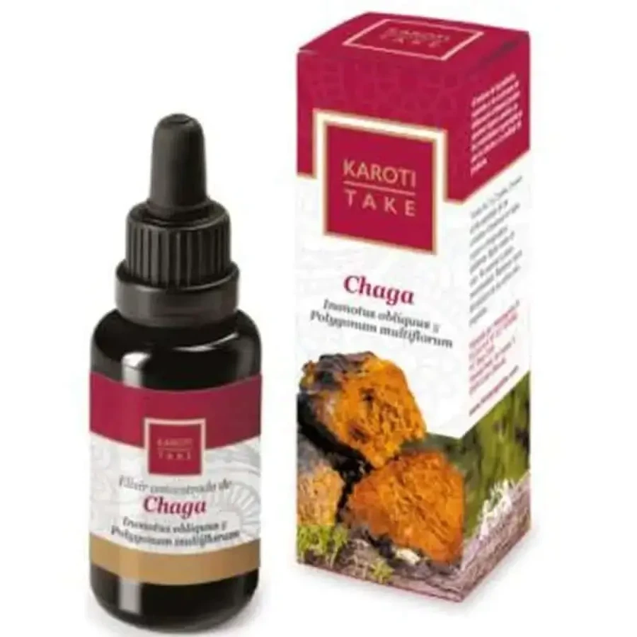 Hiranyagarba Karoti-Take Chaga 30Ml: цены и характеристики