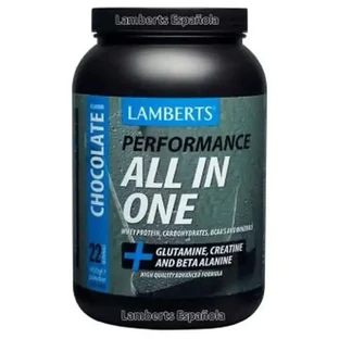 Lamberts All In One Chocolate Flavoured Shake 1450Gr