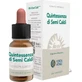 Forza Vitale Quinta Essence Hot Seeds 10Ml