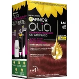 Garnier Olia Стійка фарба без аміаку, приємний запах з натуральними квітковими оліями - насичений темно-рудий 6.60