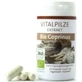 Pilze Wolhrab Coprinus Bio 60 капсул