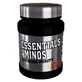Mega Plus Essential Aminos Тропические фрукты 300 гр