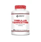 Scientiffic Nutrition Tribulus Terrestris, 100 таблеток