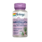 Solaray Арабіногалактан (Ag Immunoenhacer) 60 капсул