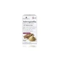 Natysal Ashwagandha, 40 капсул
