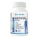 Hcf Artifer Forte 60 капсул