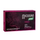 Santiveri Micosan Fibroart 40Caps