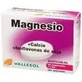 Валлесол Mg+Ca+Изофлавоны 24 таблетки