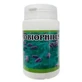 Treman Probiophilus 60 капсул