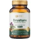 Burdock 500 mg - 60 капсул с концентрированным экстрактом корня Burdock для поддержки печени, здоровья кожи и выведения лишней жидкости | Traditional Herbals