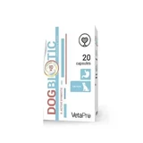 Dogbiotic Пребіотична добавка для собак Dogbiotic Digestive, 20 капсул, Vetapro