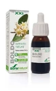 Soria Natural Boldo Extract S Xxi, 50 мл