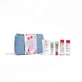 Набір для відкриттів Erborian Discovery Kit Farma Dore
