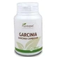 Plantapol Garcinia Cambogia 60 Tablets