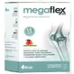 Наука и здоровье Sbd Megaflex 500 15Sbrs. Жидкость