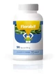 Пребіотик і пробіотик Anroch Florabif, 60 капсул