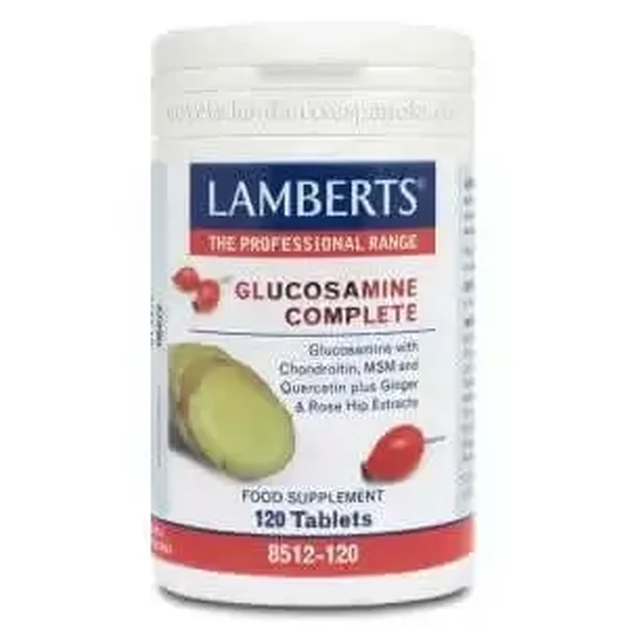 Lamberts Glucosamine Complete 120 компл.: ціни та характеристики