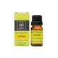 Apivita Organic Essential Oil Refresh Ефірна олія Бергамот Лимон Грейпфрут Грейпфрут Лимон Суміш ефірних олій 10мл