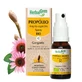 Пранарм Прополиум спрей широкого спектра действия 15 мл