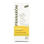 Pranarom Hypericum Maceration Oil 50ml Bio: цены и характеристики