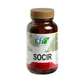 Cfn Socir, 60 капсул