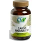 Cfn Milk Thistle St 60 капсул