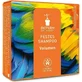 Bioturm Solid Volume Shampoo 100Gr