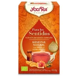 Йогический чай Wellness Natura For The Senses 17Inf