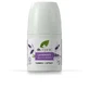 Дезодорант Dr.Organic Лавандовий заспокійливий, 50 мл
