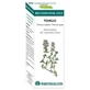 Эфирные масла Эквисалуд Био Эфирное масло тимьяна 10 мл