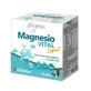 Zentrum Magnesium Vital Liquid, 20 флаконов