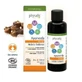 Physalis Ayurveda Holistic Balance Massage Oil 100Ml. Био