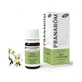 Pranarom Ефірна олія цистуса лауданифери Cistus Laudanifera 5 мл, Cistus Laudanifera Organic