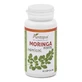 Planta Pol Moringa Forte, 60 капсул