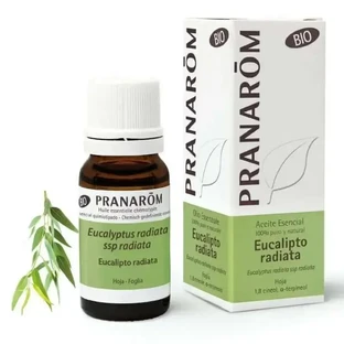 Эфирное масло Pranarom Eucalyptus radiata, 30 мл